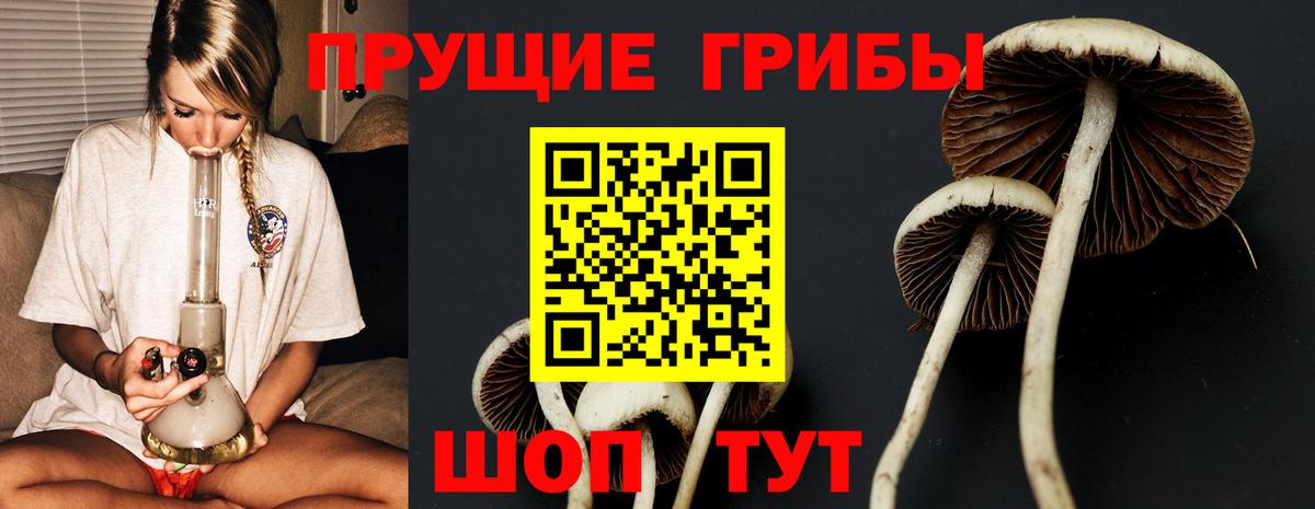 Галлюциногенные грибы Magic Shrooms Шали
