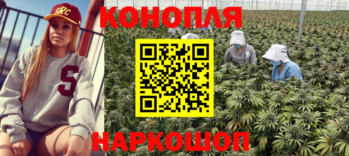 Конопля индика Шали
